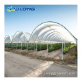 Commercial Plastic Film Tunnel Greenhouse for strawberry